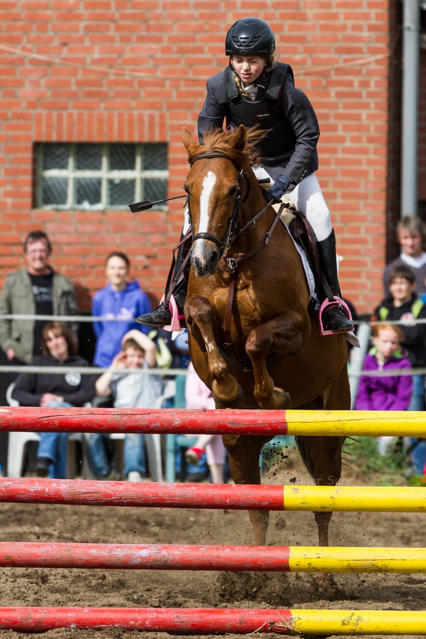 Bild 185 - Reitschule Janen Jubilum